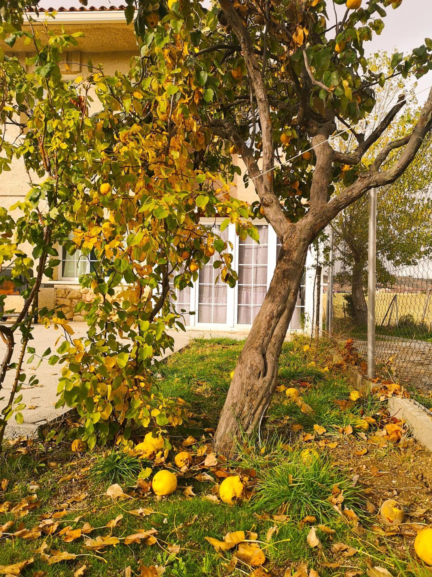 Agradable casa con jardín: Casasola Vila San Cristóbal de Segovia Exterior foto